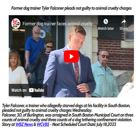 Former dog trainer Tyler Falconer pleads not guilty to animal cruelty charges