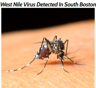 Mosquito pool in South Boston tested positive for West Nile Virus
