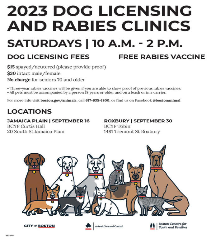 Free rabies and low cost dog licensing clinic Saturdays at selected BCYF Community Centers near you.